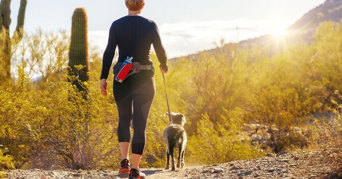 Therapeutic Modalities